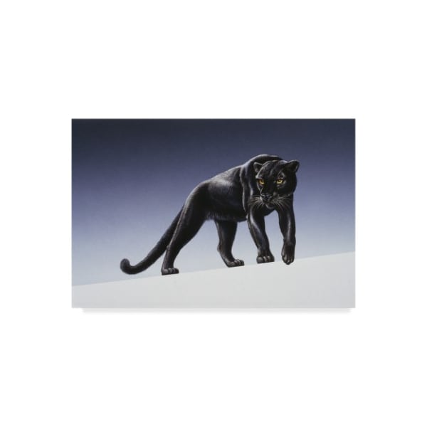 Trademark Fine Art Harro Maass 'Black Panther Light' Canvas Art, 22x32 - ALI35683-C2232GG