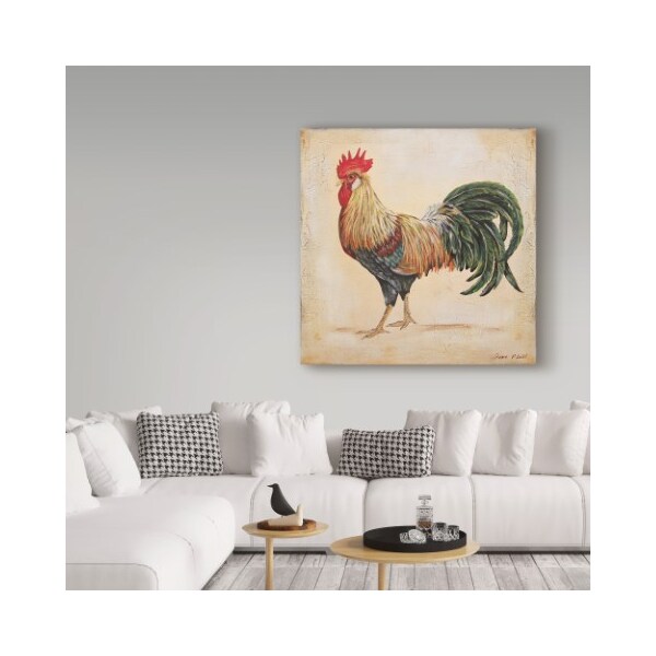 Trademark Fine Art Jean Plout 'Rooster 3' Canvas Art, 14x14 - ALI37419-C1414GG