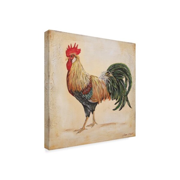 Trademark Fine Art Jean Plout 'Rooster 3' Canvas Art, 14x14 - ALI37419-C1414GG