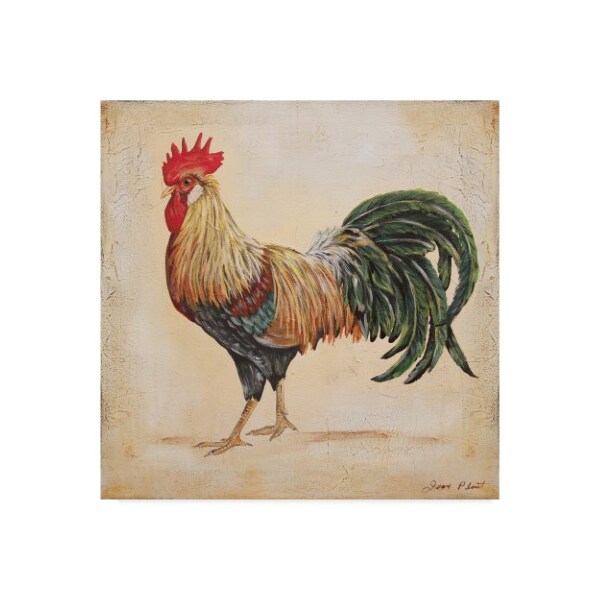 Trademark Fine Art Jean Plout 'Rooster 3' Canvas Art, 14x14 - ALI37419-C1414GG