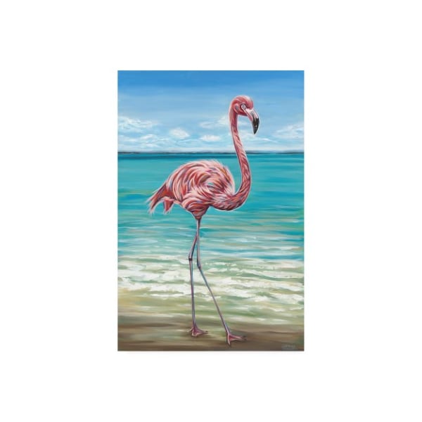 Trademark Fine Art Carolee Vitaletti 'Beach Walker Flamingo I' Canvas Art, 22x32 - WAG10448-C2232GG