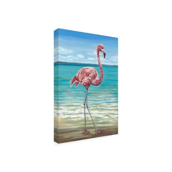 Trademark Fine Art Carolee Vitaletti 'Beach Walker Flamingo I' Canvas Art, 22x32 - WAG10448-C2232GG