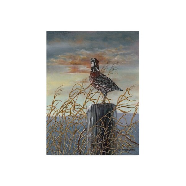 Trademark Fine Art Carolyn Mock 'Quail On A Post' Canvas Art, 18x24 - WAG03714-C1824GG