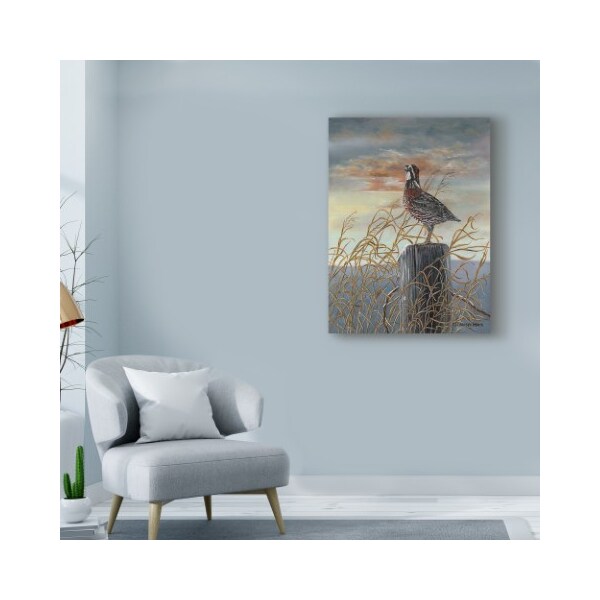 Trademark Fine Art Carolyn Mock 'Quail On A Post' Canvas Art, 18x24 - WAG03714-C1824GG
