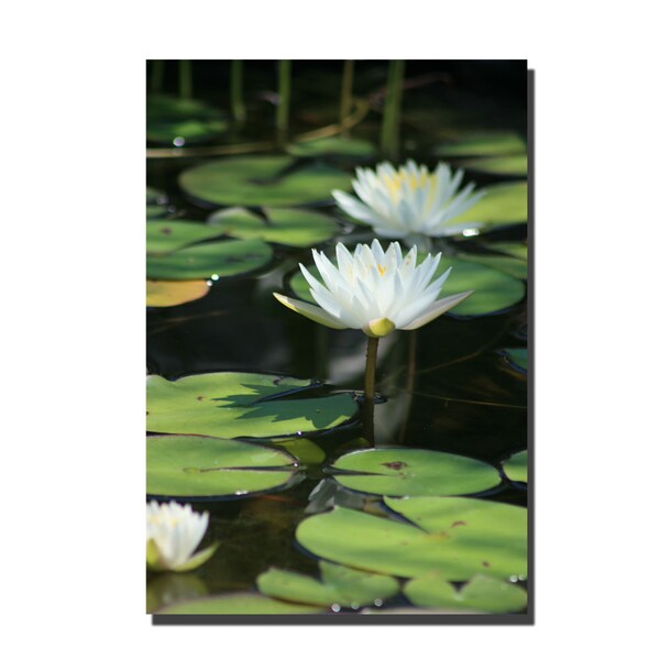 Trademark Fine Art Patty Tuggle 'Lovely Lilies' Canvas Art, 16x24 - PT029-C1624GG