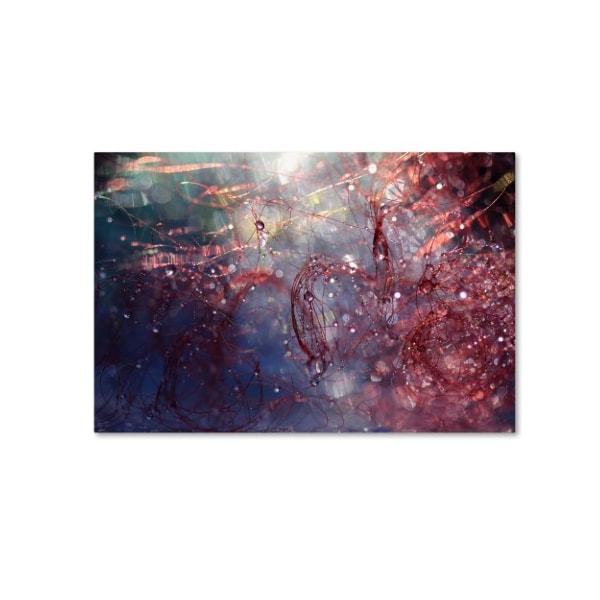 Trademark Fine Art Beata Czyzowska Young 'Adventures of Red' Canvas Art, 16x24 - BC0250-C1624GG