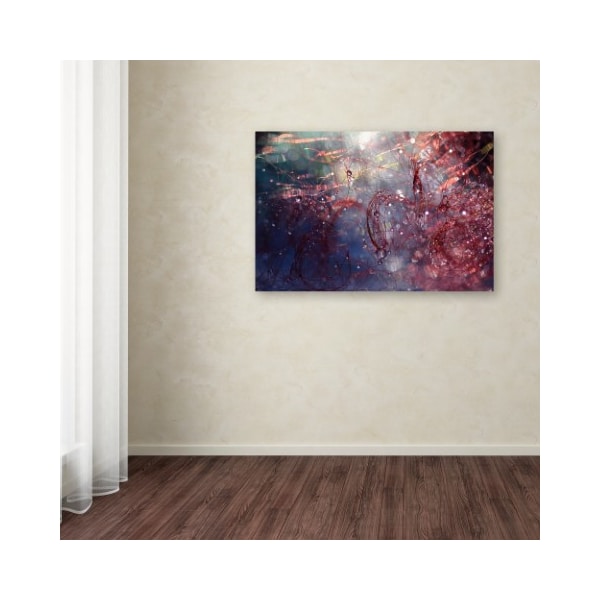 Trademark Fine Art Beata Czyzowska Young 'Adventures of Red' Canvas Art, 16x24 - BC0250-C1624GG