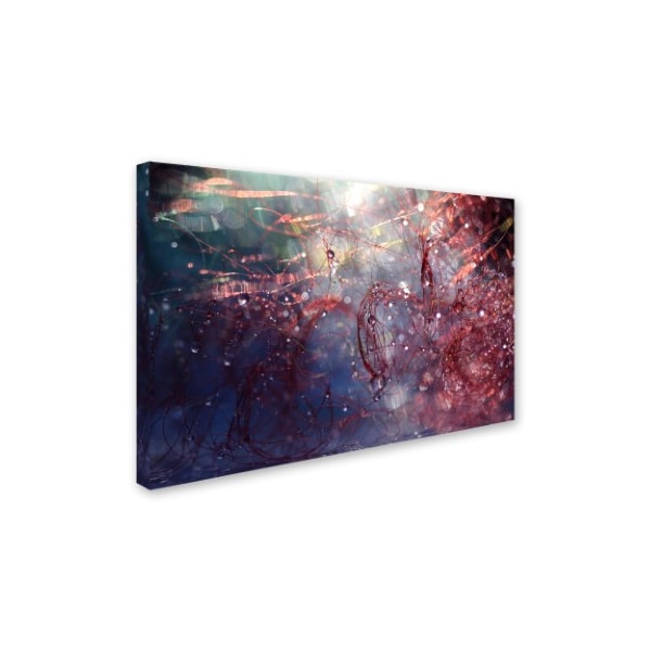 Trademark Fine Art Beata Czyzowska Young 'Adventures of Red' Canvas Art, 16x24 - BC0250-C1624GG