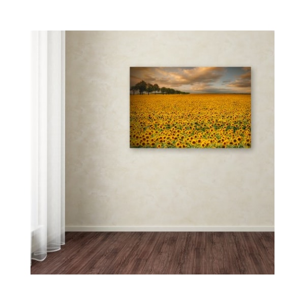 Trademark Fine Art Piotr Krol 'Sunflowers' Canvas Art, 16x24 - 1X02379-C1624GG