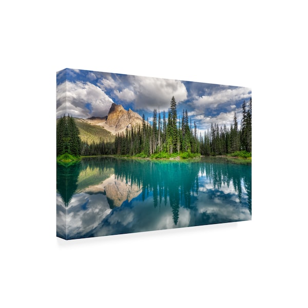 Trademark Fine Art Zoran Dujic Lighthunter 'Emerald' Canvas Art, 16x24 - 1X09022-C1624GG