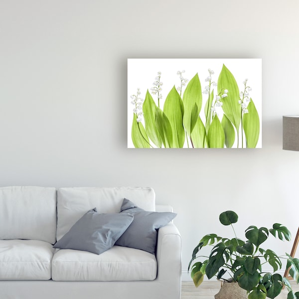 Trademark Fine Art Mandy Disher 'Lily Of The Valley Green' Canvas Art, 16x24 - 1X09122-C1624GG