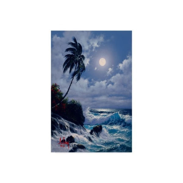 Trademark Fine Art Anthony Casay 'Tropical Coast 4' Canvas Art, 16x24 - ALI20383-C1624GG