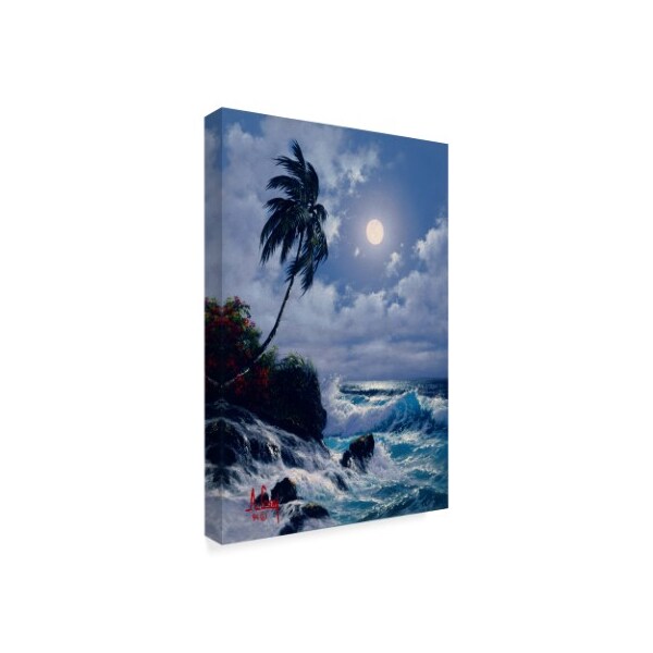 Trademark Fine Art Anthony Casay 'Tropical Coast 4' Canvas Art, 16x24 - ALI20383-C1624GG