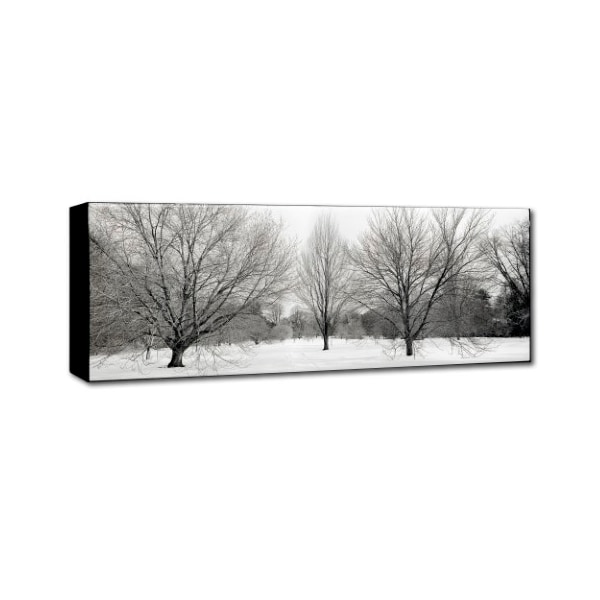 Trademark Fine Art Alan Blaustein 'Winter Garden I' Canvas Art, 16x47 - ALI5175-C1647GG