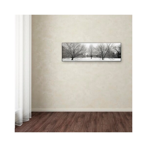 Trademark Fine Art Alan Blaustein 'Winter Garden I' Canvas Art, 16x47 - ALI5175-C1647GG