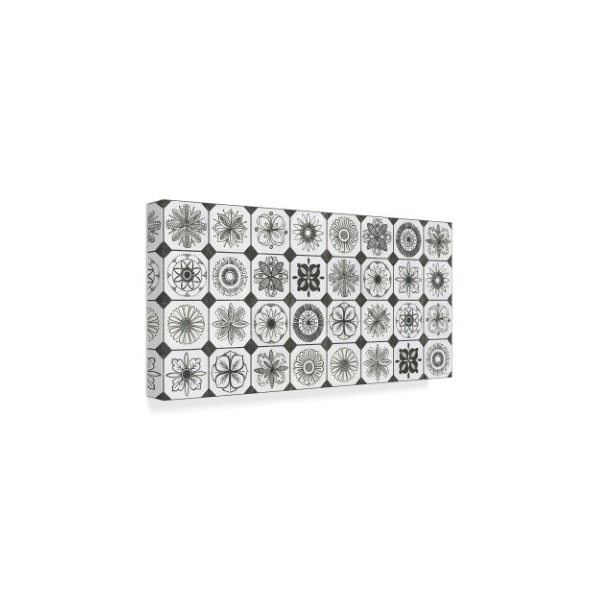 Trademark Fine Art Kathrine Lovell 'Patterns of the Amazon XIX' Canvas Art, 24x47 - WAP03893-C2447GG