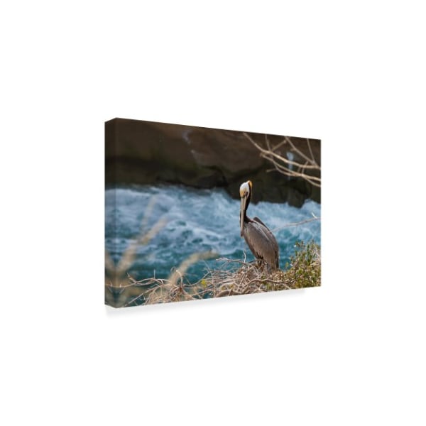 Trademark Fine Art Chris Moyer 'Pelican Stare' Canvas Art, 30x47 - ALI41427-C3047GG