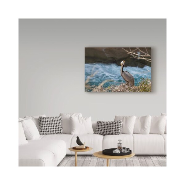Trademark Fine Art Chris Moyer 'Pelican Stare' Canvas Art, 30x47 - ALI41427-C3047GG