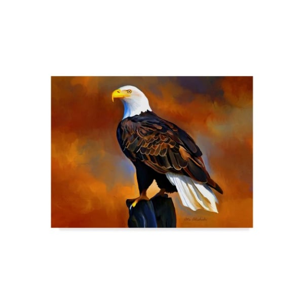 Trademark Fine Art Ata Alishahi 'The Eagle' Canvas Art, 18x24 - ALI22170-C1824GG