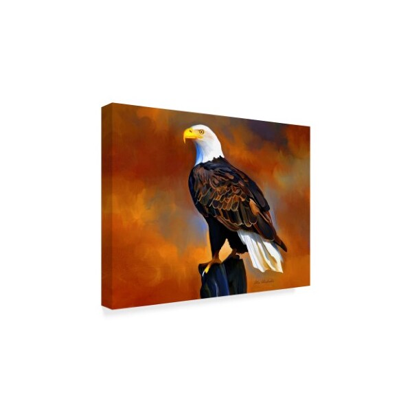Trademark Fine Art Ata Alishahi 'The Eagle' Canvas Art, 18x24 - ALI22170-C1824GG
