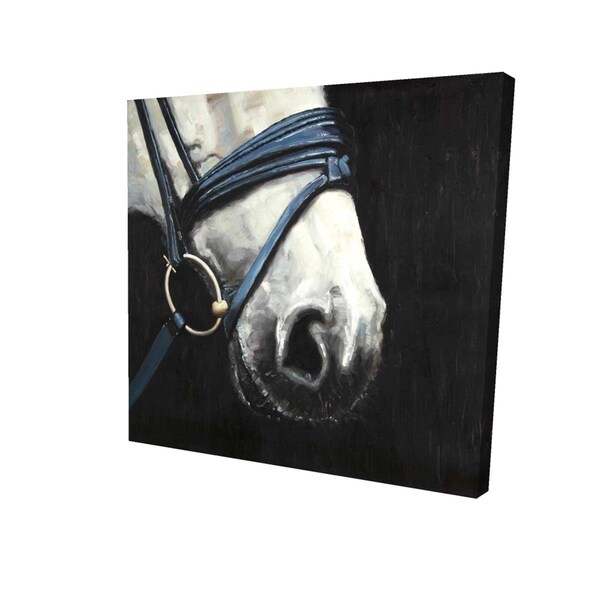 Fondo 16 x 16 in. Horse with Harness-Print on Canvas - FO2792157