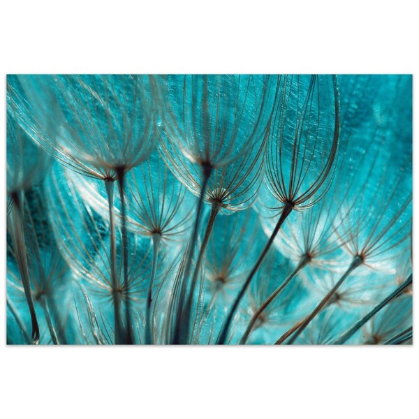 Solid Storage Supplies 32 x 48 in. Dandelion Frameless Tempered Glass Panel Contemporary Wall Art - SO2573410