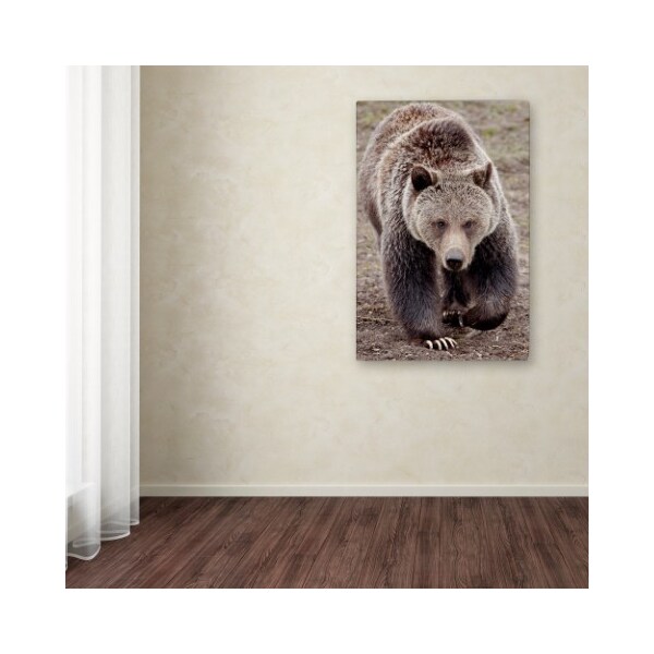 Trademark Fine Art Robert Harding Picture Library 'Bears' Canvas Art, 16x24 - ALI19182-C1624GG