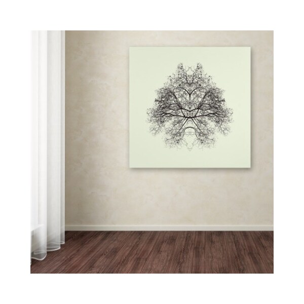 Trademark Fine Art Nadav Jonas 'Rorschach Test' Canvas Art, 35x35 - 1X03560-C3535GG
