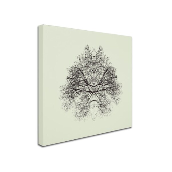 Trademark Fine Art Nadav Jonas 'Rorschach Test' Canvas Art, 35x35 - 1X03560-C3535GG
