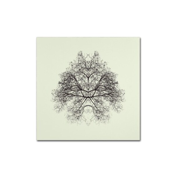Trademark Fine Art Nadav Jonas 'Rorschach Test' Canvas Art, 35x35 - 1X03560-C3535GG