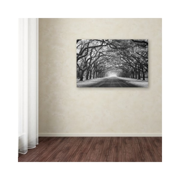 Trademark Fine Art Mike Jones Photo 'Wormsloe Inf Light' Canvas Art, 22x32 - ALI17798-C2232GG