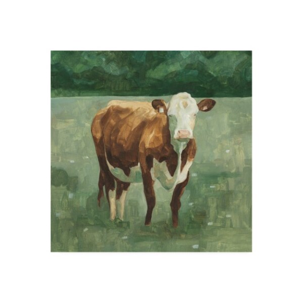 Trademark Fine Art Emma Scarvey 'Hereford Cattle I' Canvas Art, 18x18 - WAG13570-C1818GG