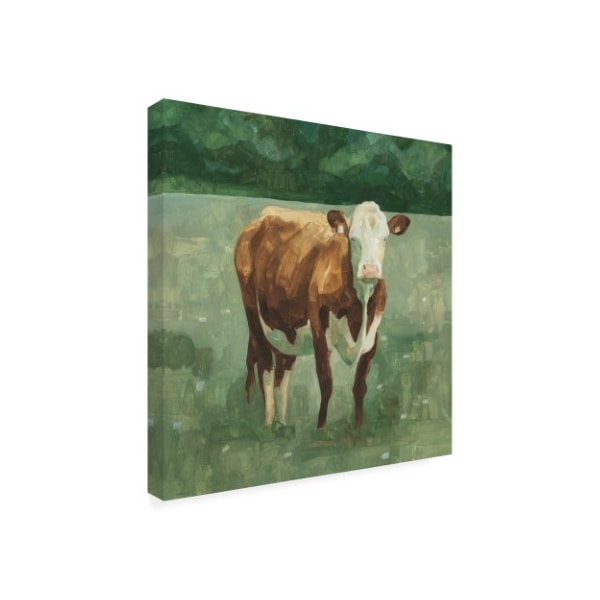 Trademark Fine Art Emma Scarvey 'Hereford Cattle I' Canvas Art, 18x18 - WAG13570-C1818GG