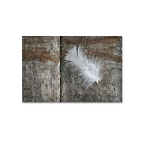 Trademark Fine Art Cora Niele 'Feather on Wood II' Canvas Art, 22x32 - ALI1738-C2232GG