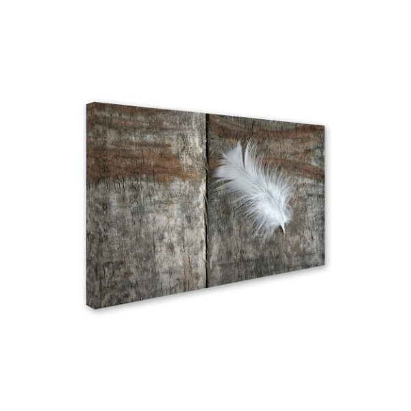 Trademark Fine Art Cora Niele 'Feather on Wood II' Canvas Art, 22x32 - ALI1738-C2232GG