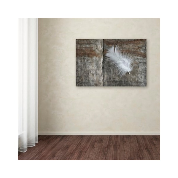 Trademark Fine Art Cora Niele 'Feather on Wood II' Canvas Art, 22x32 - ALI1738-C2232GG