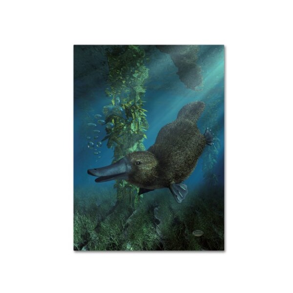 Trademark Fine Art Daniel Eskridge 'Platypus' Canvas Art, 18x24 - ALI12846-C1824GG
