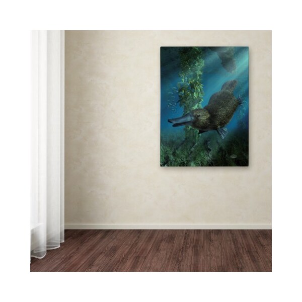 Trademark Fine Art Daniel Eskridge 'Platypus' Canvas Art, 18x24 - ALI12846-C1824GG