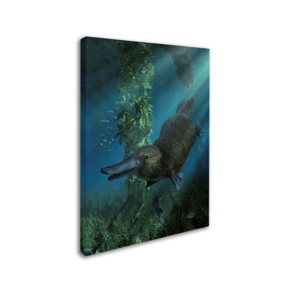 Trademark Fine Art Daniel Eskridge 'Platypus' Canvas Art, 18x24 - ALI12846-C1824GG