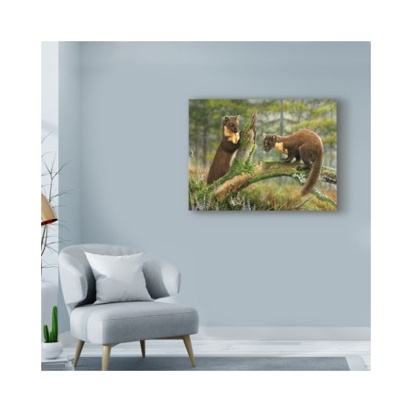 Trademark Fine Art Nigel Artingstall 'Pine Martens' Canvas Art, 18x24 - ALI43799-C1824GG