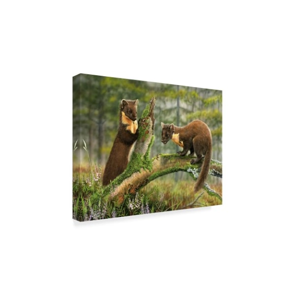 Trademark Fine Art Nigel Artingstall 'Pine Martens' Canvas Art, 18x24 - ALI43799-C1824GG