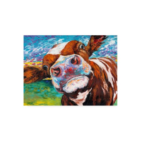 Trademark Fine Art Carolee Vitaletti 'Curious Cow I' Canvas Art, 14x19 - WAG11253-C1419GG