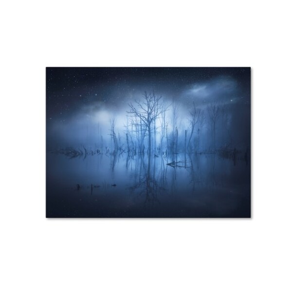 Trademark Fine Art Christian Lindsten 'Stranger Things' Canvas Art, 14x19 - 1X01398-C1419GG