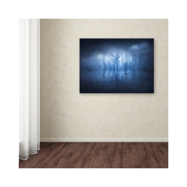 Trademark Fine Art Christian Lindsten 'Stranger Things' Canvas Art, 14x19 - 1X01398-C1419GG