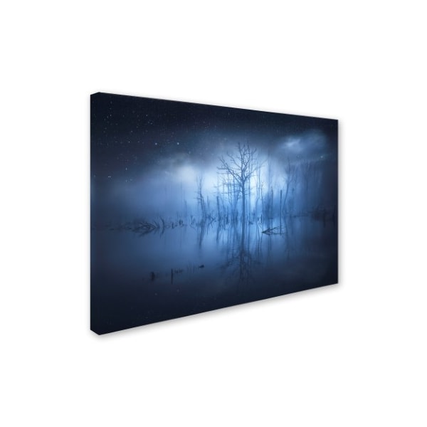 Trademark Fine Art Christian Lindsten 'Stranger Things' Canvas Art, 14x19 - 1X01398-C1419GG