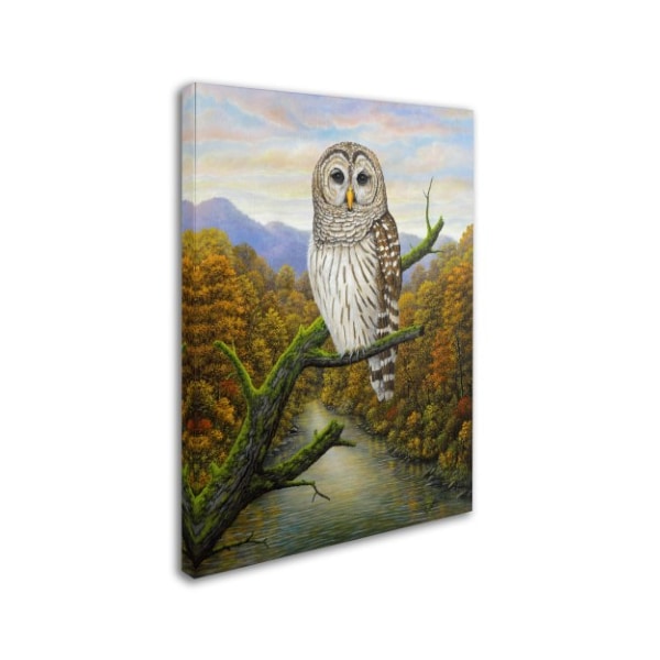 Trademark Fine Art Robert Wavra 'Barred Owl' Canvas Art, 24x32 - ALI12081-C2432GG