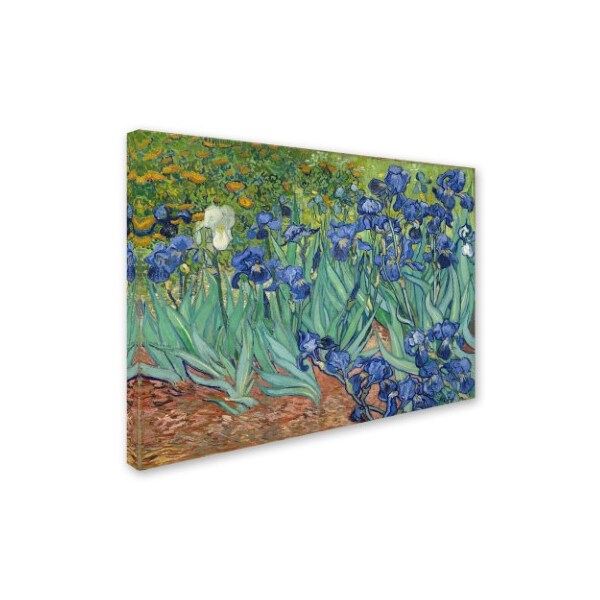 Trademark Fine Art Vincent van Gogh 'Irises 1889' Canvas Art, 18x24 - AA01265-C1824GG