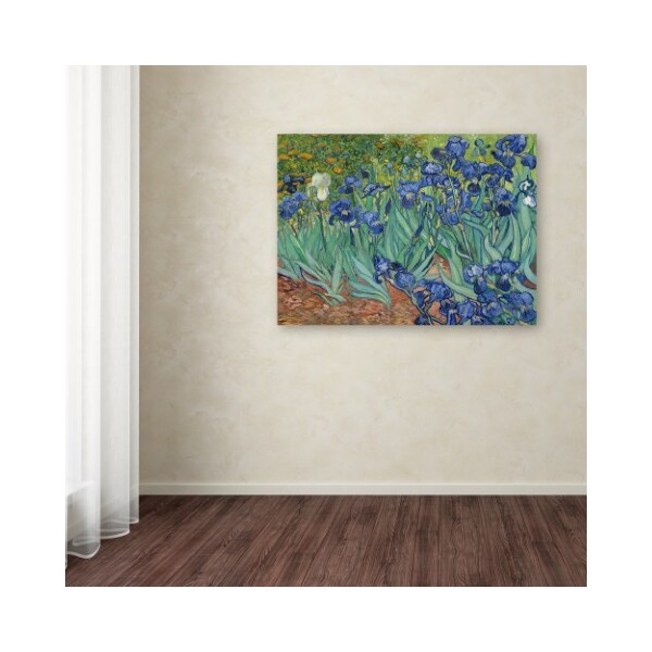 Trademark Fine Art Vincent van Gogh 'Irises 1889' Canvas Art, 18x24 - AA01265-C1824GG
