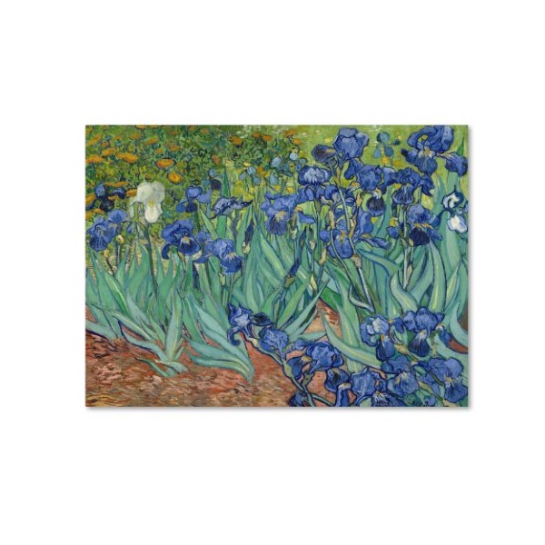 Trademark Fine Art Vincent van Gogh 'Irises 1889' Canvas Art, 18x24 - AA01265-C1824GG