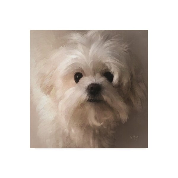 Trademark Fine Art Lois Bryan 'Maltese Puppy Portrait' Canvas Art, 14x14 - LBR00396-C1414GG